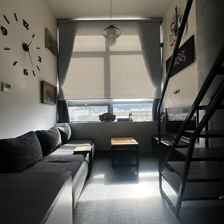 1 Bedroom Loft Apartment Zlin Bagian luar foto